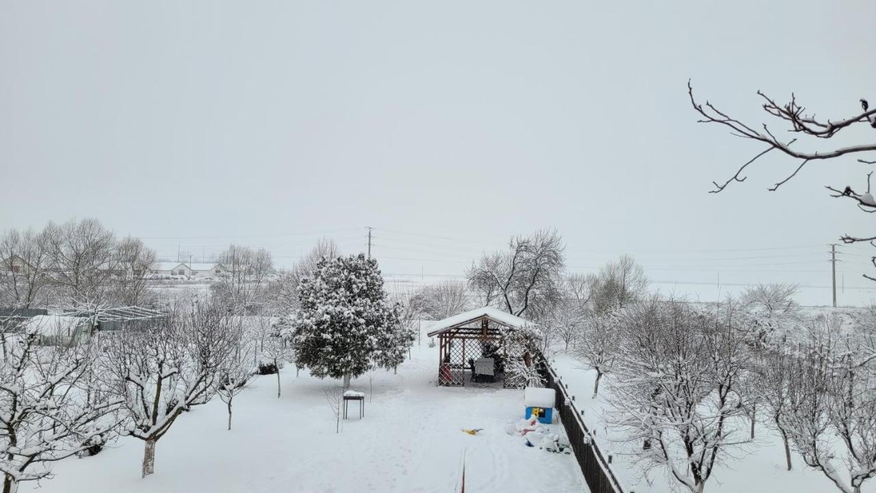 Casa Dana Villa Rîşnov Exteriör bild